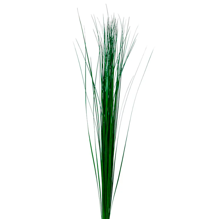 Steel Grass Long