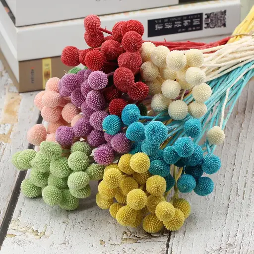 CRASPEDIA PRESERVED MIXED BUNCH