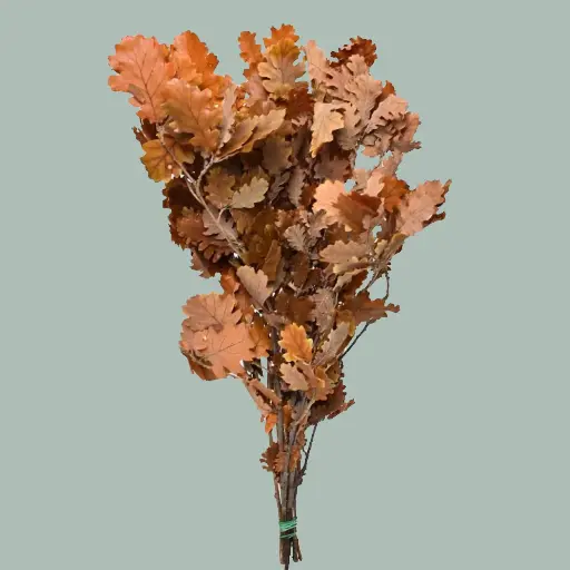 Oakleaves Dyed autumn per bunch