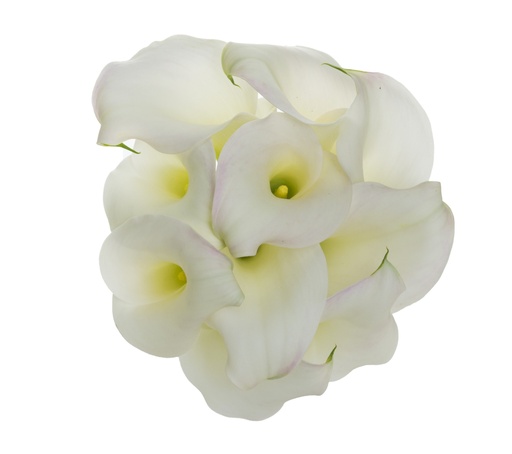 Calla Crystal Blush
