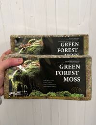 Decore Forest Moss