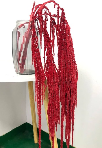 Dried Amaranthus Hang Bleached Red 60CM