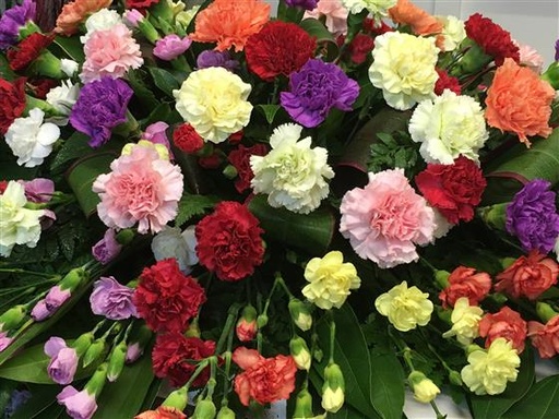 Carnation Spray Mix