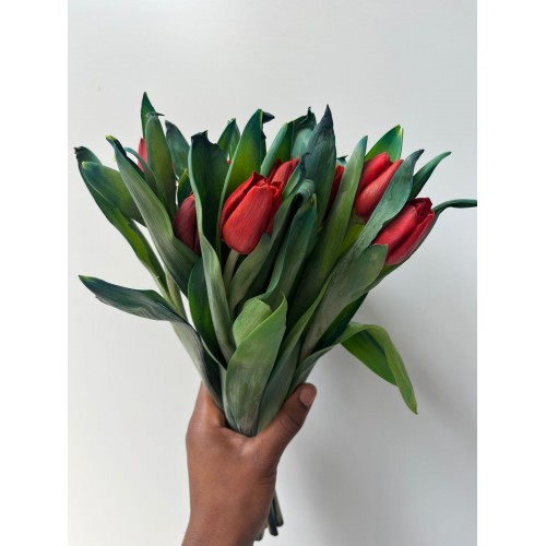 Tulips dyed Amsterdamned