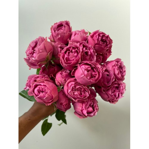 Spray Rose Misty Bubbles 40cm