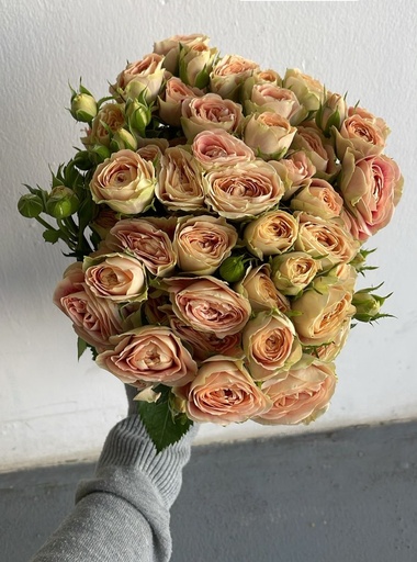 Spray Rose Summerhouse