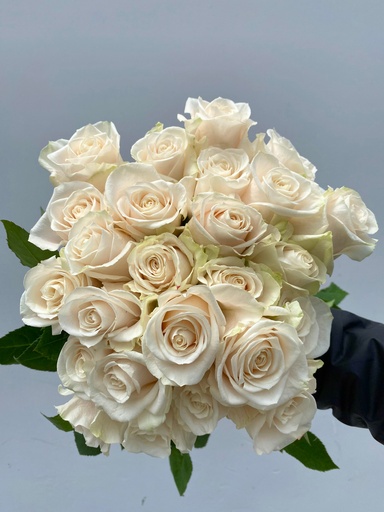 Rose Vendela 60cm EC