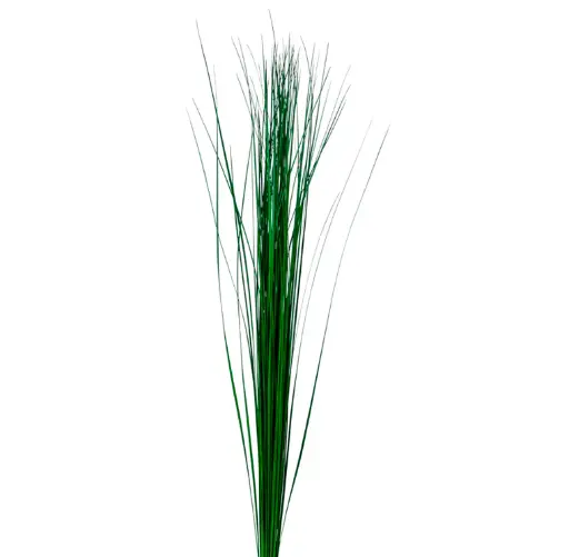 Steel Grass Long